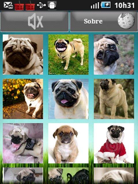 Photo Pug 2截图2