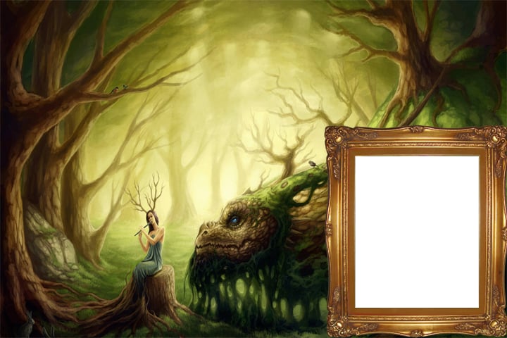 Fantasy Photo Frames PRO截图5