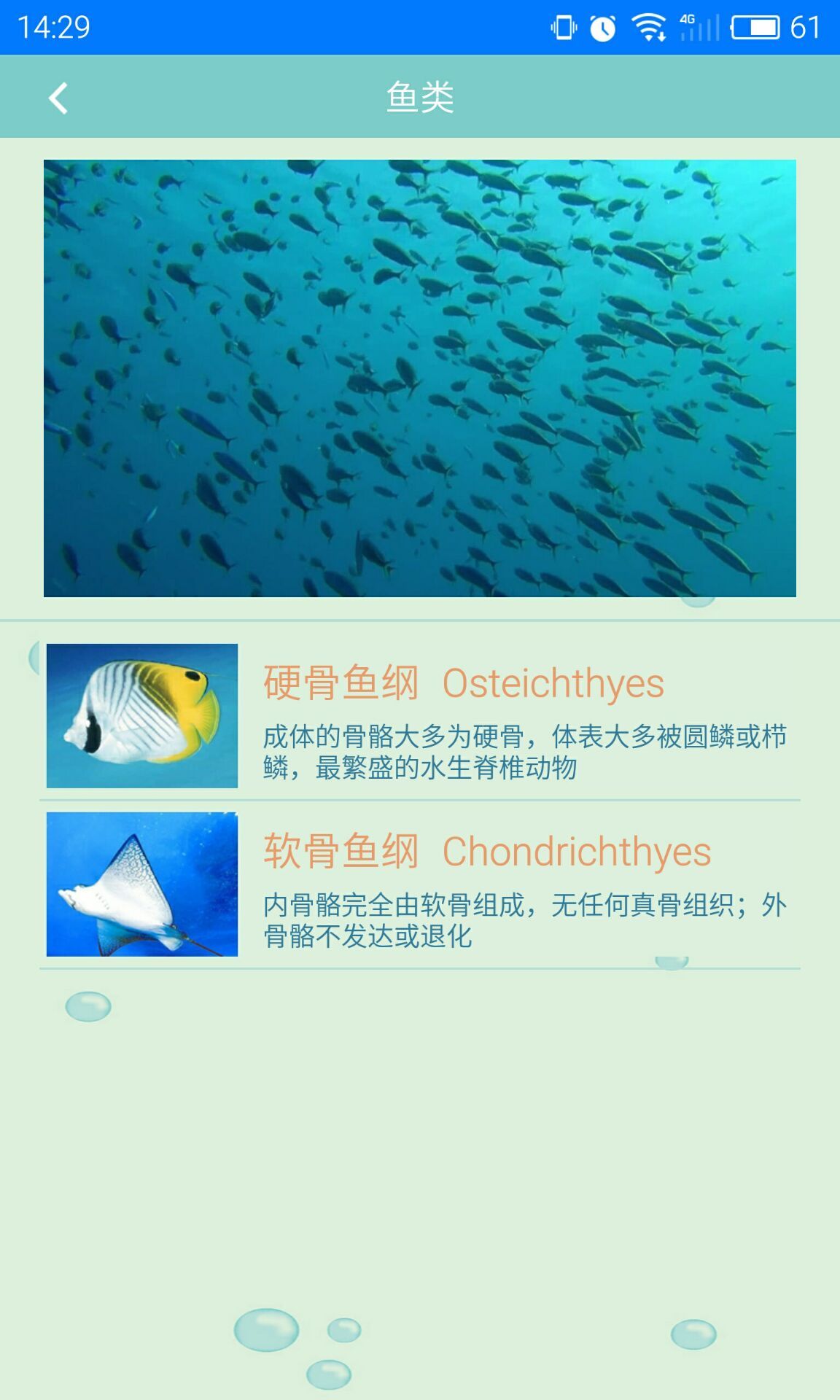 海洋生物截图2