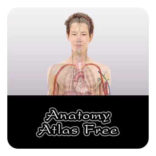 Anatomy Atlas Free截图2