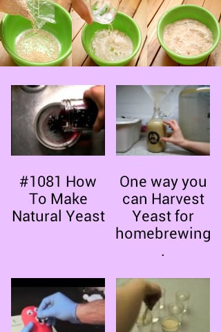 How to Grow Yeast截图1