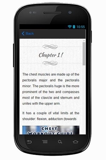 Chest Workout Guide截图2