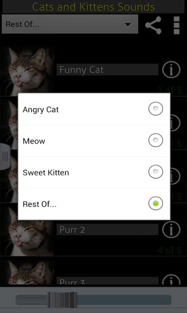 Cats &amp; Kittens Sounds截图2