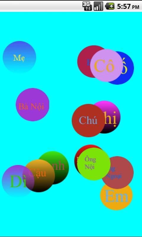 Viet(nam) Language截图1