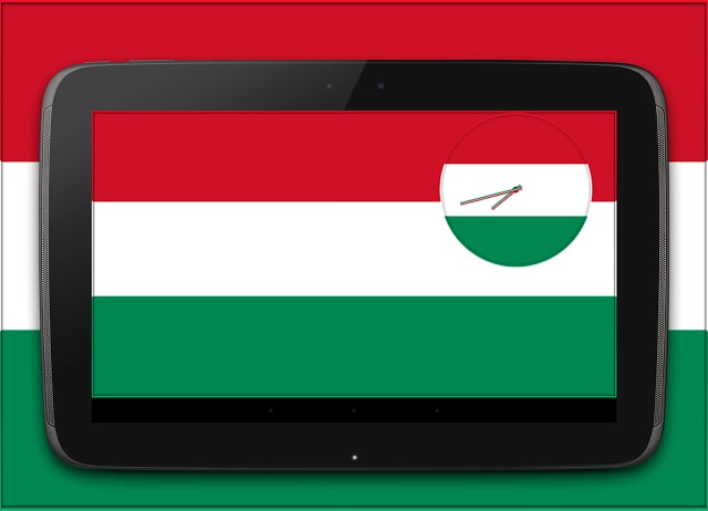 Hungary Clock截图3