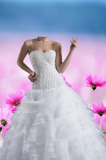 Wedding Gown Photo Montage 2截图4