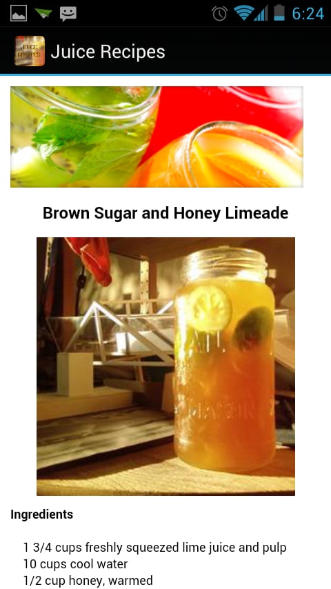 Juice Recipes截图2