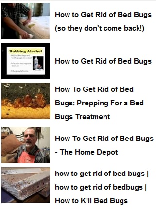 How to Get Rid of Bed Bu...截图4