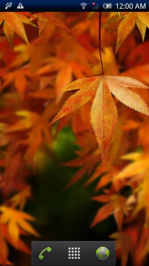 Autumn Colors Trial截图2