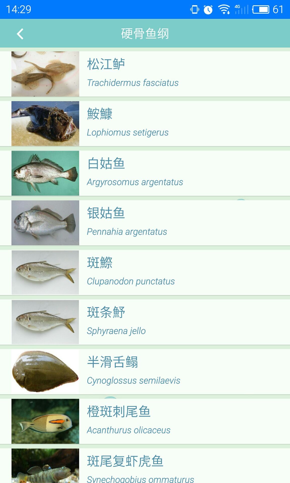 海洋生物截图3