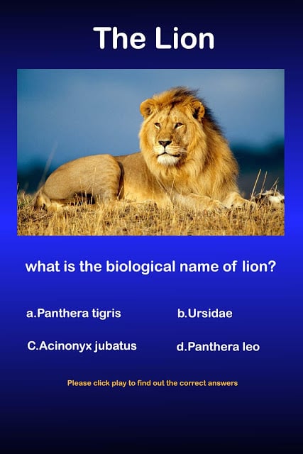 Lion Animal Question Answers截图3