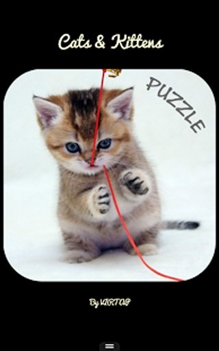 Cats - Puzzle Game截图9