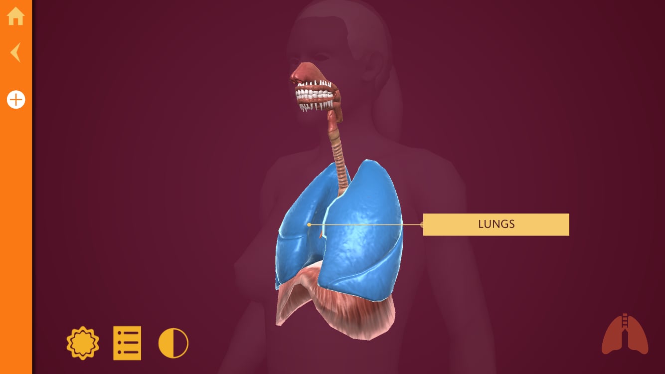 Anatomy - The Human Body截图5