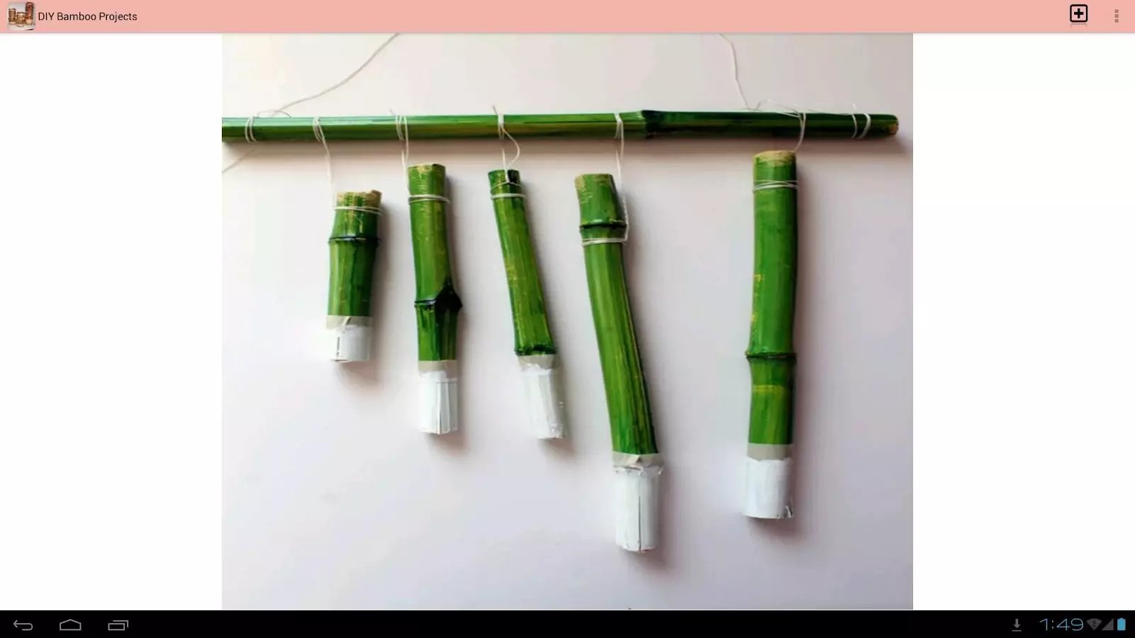 DIY Bamboo Projects截图1