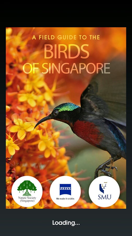 Birds of Singapore截图2