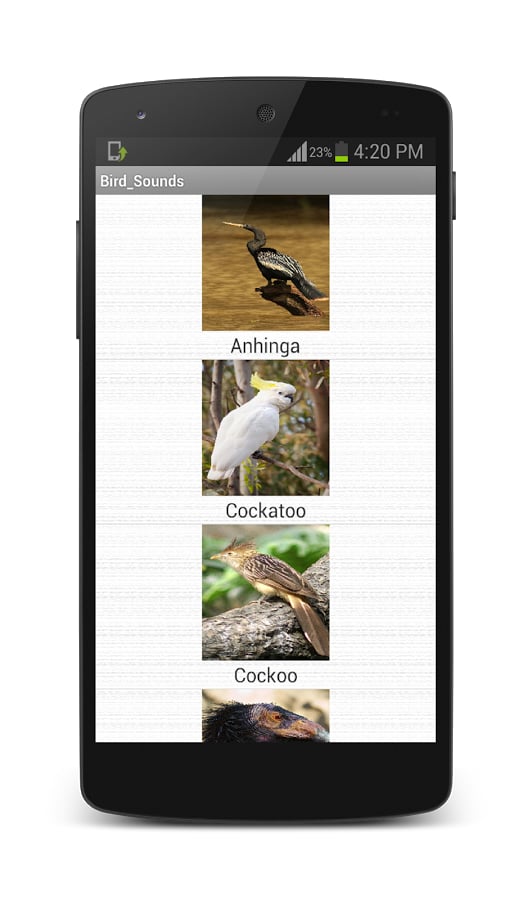 Famous Birds Sounds截图2