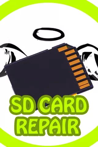 SD Card Repair Pro截图2