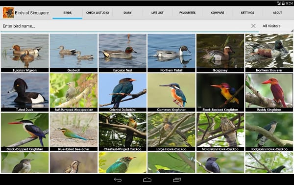 Birds of Singapore截图8