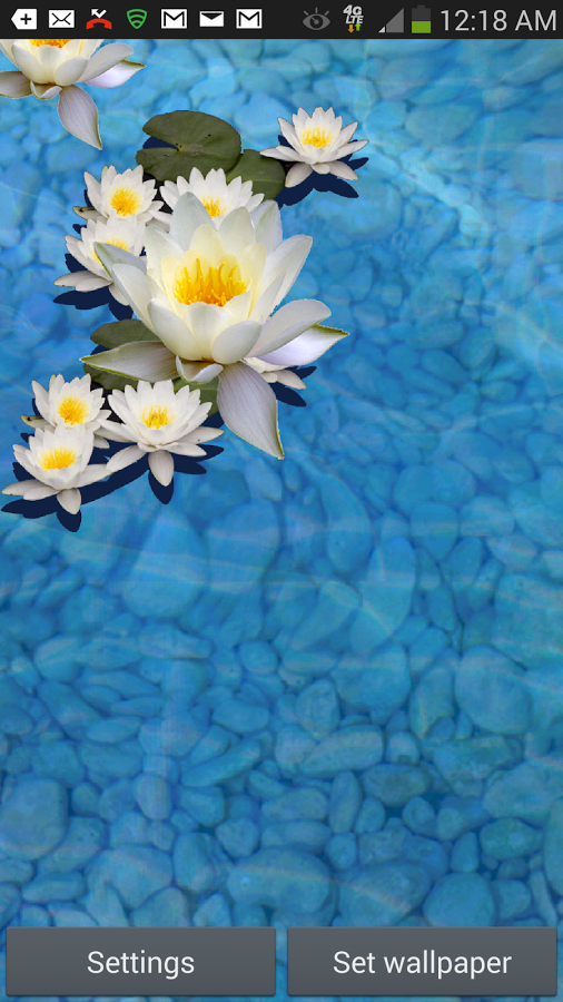 Virtual Fish Pond 3D LWP截图3