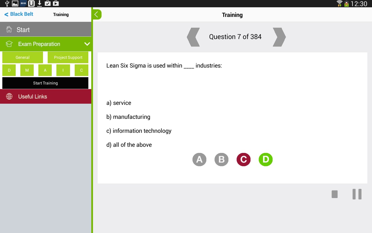 Lean Six Sigma Black Bel...截图6