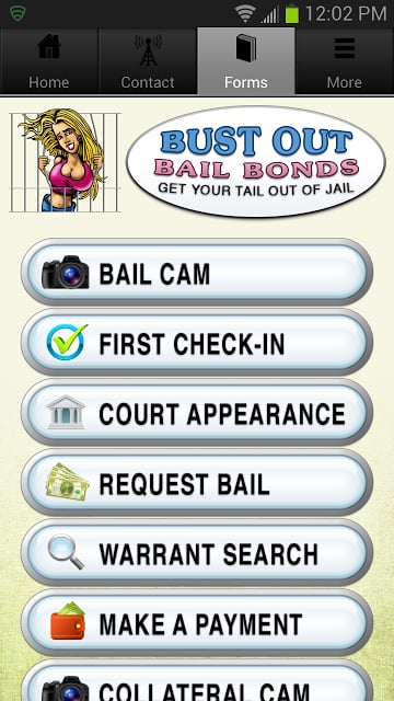 Bust Out Bail截图2