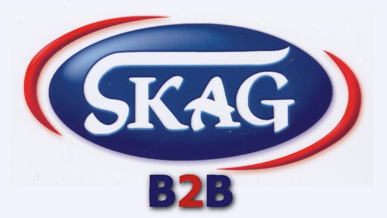 SKAG B2B截图2