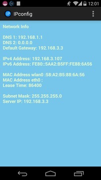 Ipconfig - Network Infor...截图