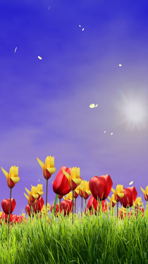 Spring Scene Free截图5