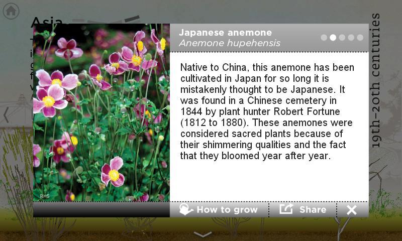 2012 Gardens截图3