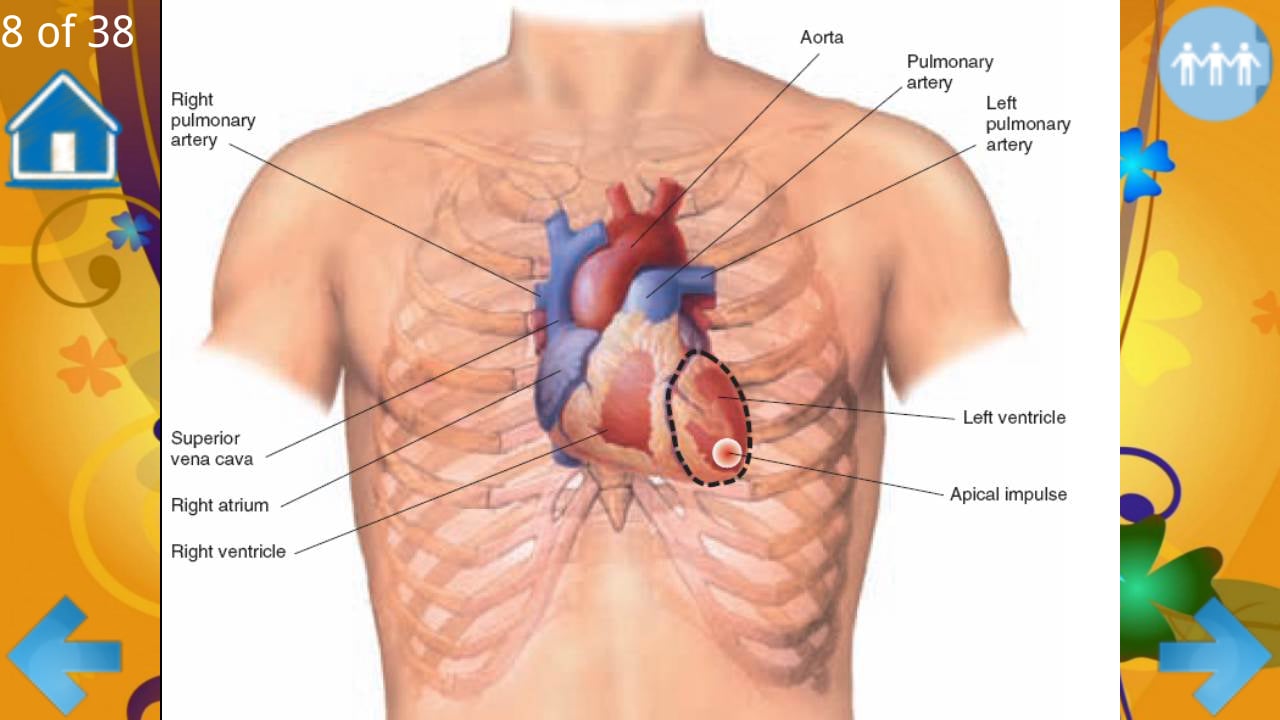Examination of the heart截图5