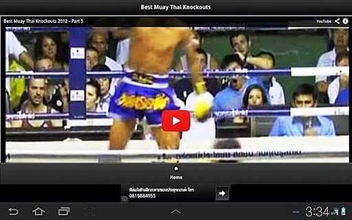 Best Muay Thai Knockouts截图10