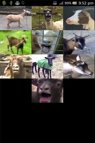 Screaming Goats SoundBoard截图1