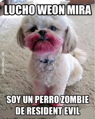 Chiste y humor截图7