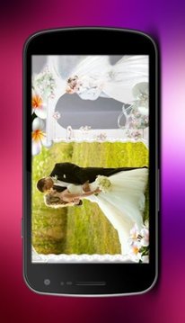 Wedding Frames &amp; Cards截图