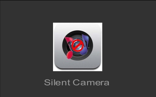 Silent camera Hidden camera截图1