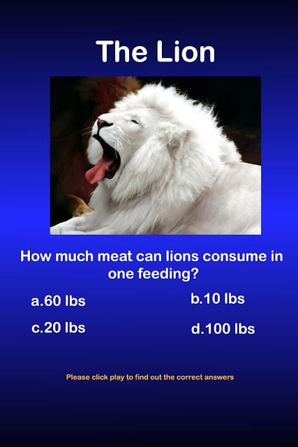 Lion Animal Question Answers截图1