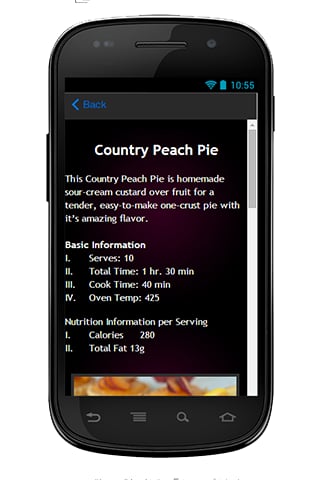 Pie Recipes Tip截图3