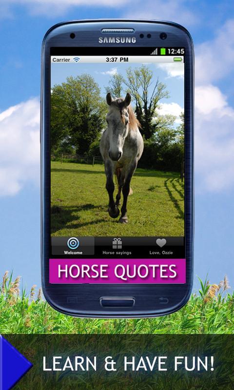 Horse Quotes And Sayings截图3