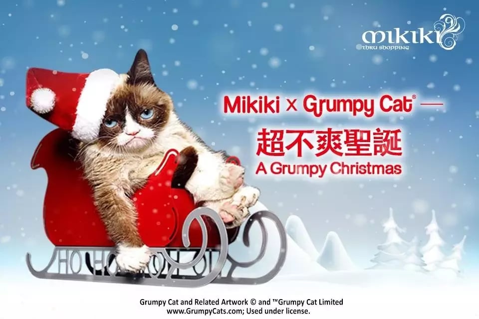 Mikiki x Grumpy Cat - AR截图1