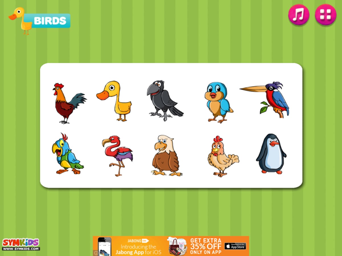 Birds for Kids截图8