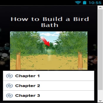 How to Build a Bird Bath截图1