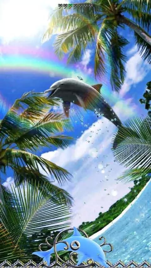 Dolphin Rainbow截图3