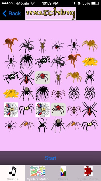 Spider Game for kids截图3