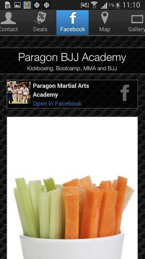 Paragon BJJ Academy截图1