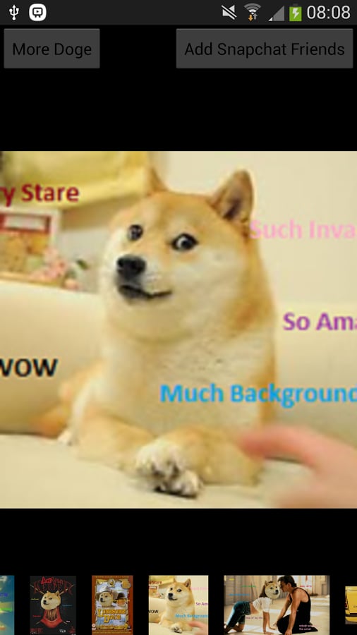 Much Doge截图2