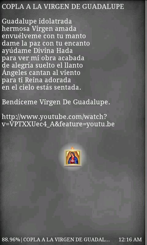 Virgen de Guadalupe Free截图3