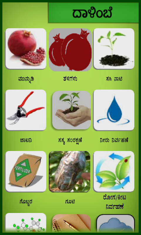 Pomegranate Kannada Version截图2