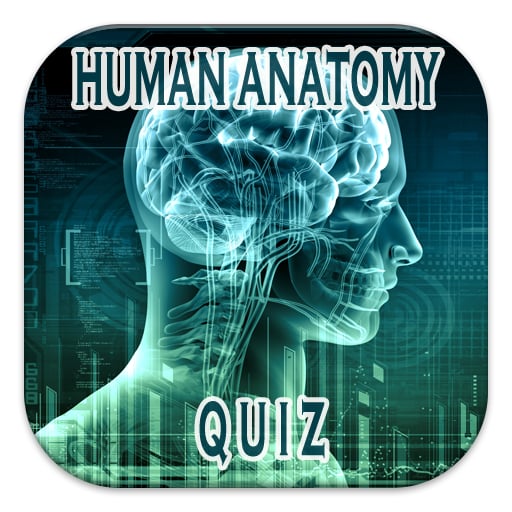 Human Anatomy Quiz截图3