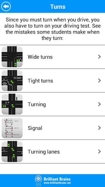 Driving Test Lite截图6