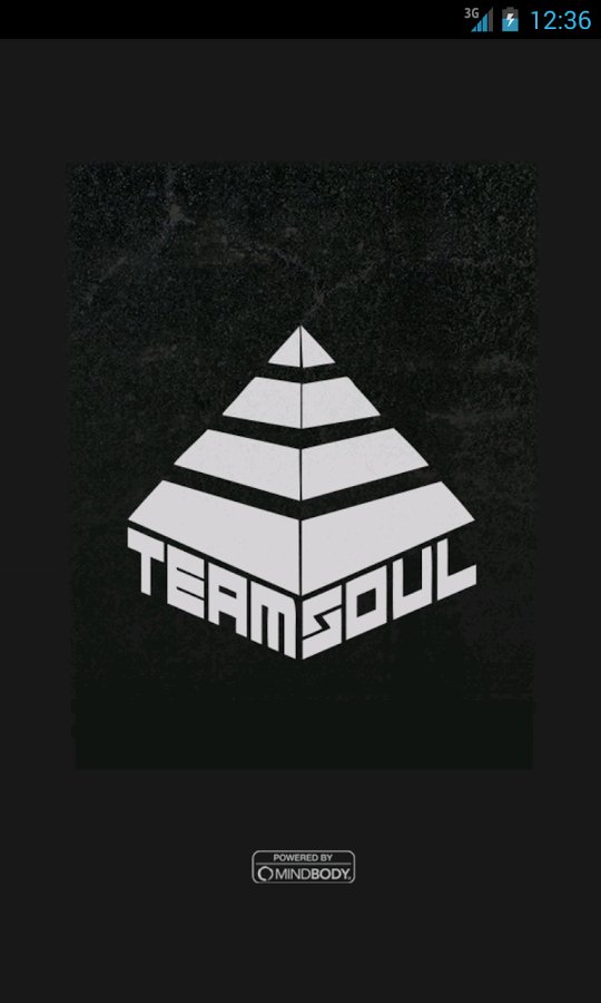 Team Soul截图3